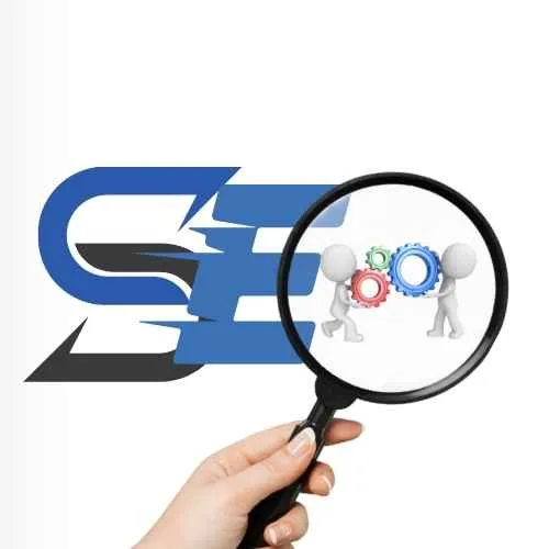 SEO Case Studies